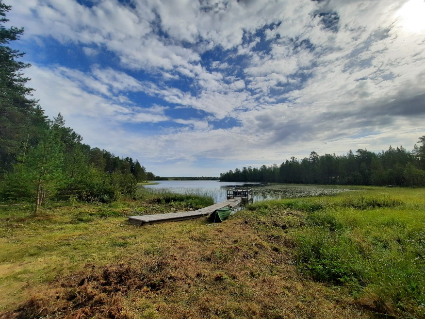 Ponton sur le lac, entouré de végétation et de forêt