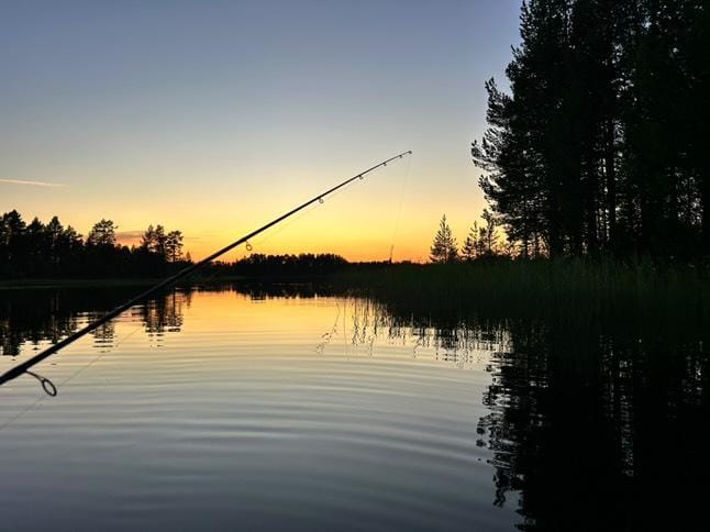 Canne à pêche au bord du lac au coucher du soleil