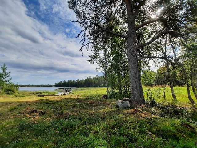 Sous-bois et rive du lac autour de Sorkmyren Camp